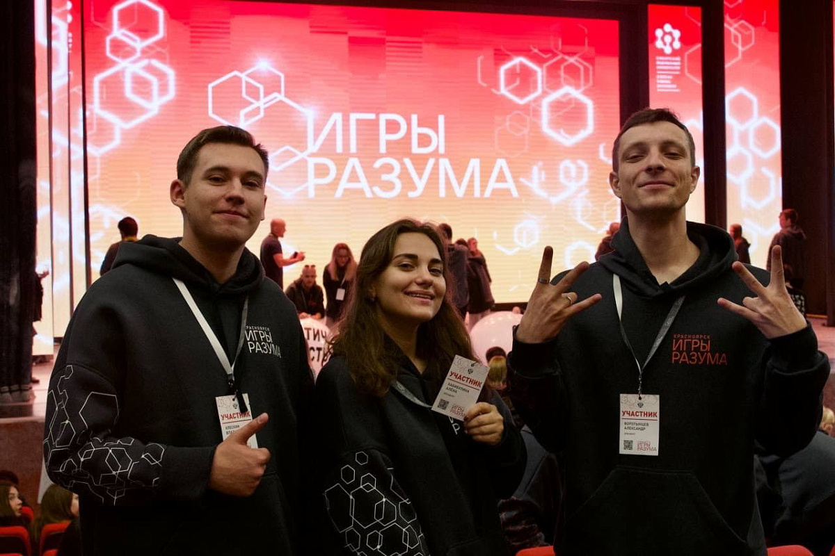 Описание изображения